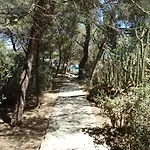 Bicus Villa Porto Pino